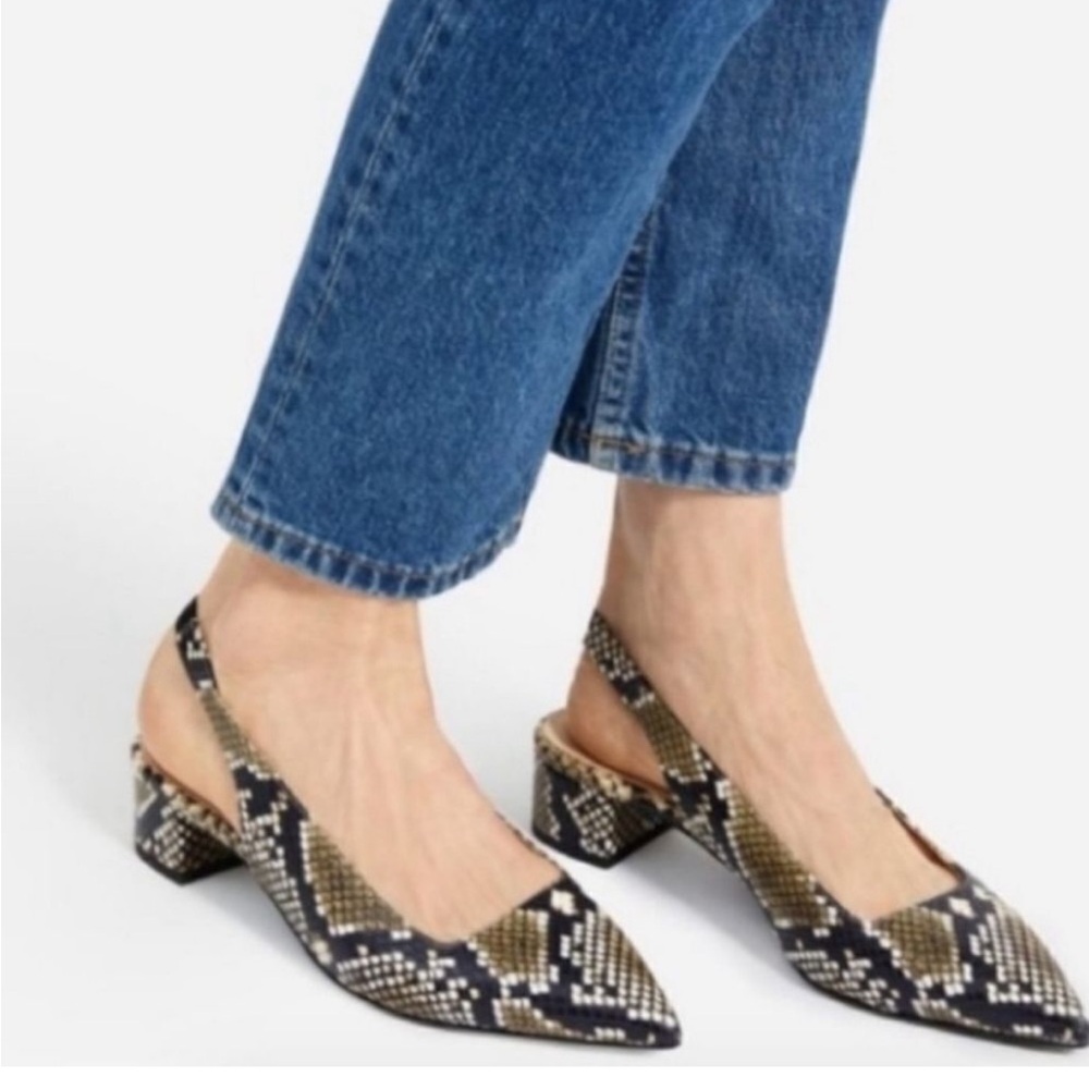 Everlane Snakeskin Slingback